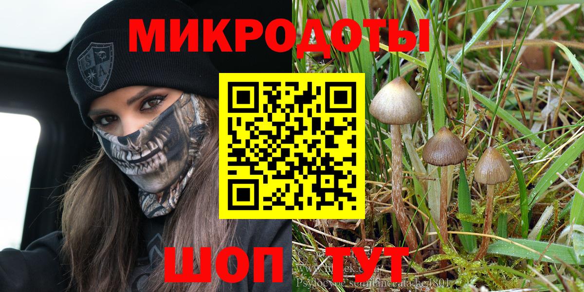 Псилоцибиновые грибы Psilocybine cubensis Ярцево